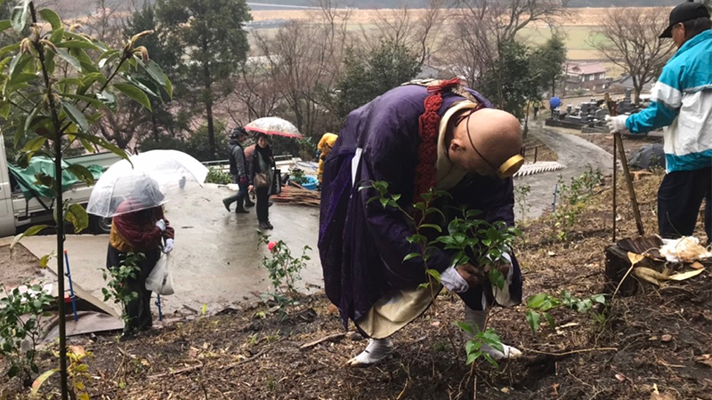 住職植樹